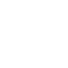 NSF Logo