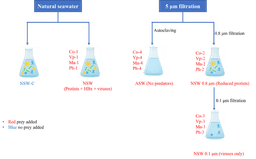 A thumbnail of the file image