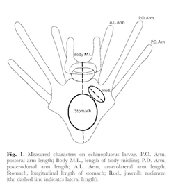 A thumbnail of the file image